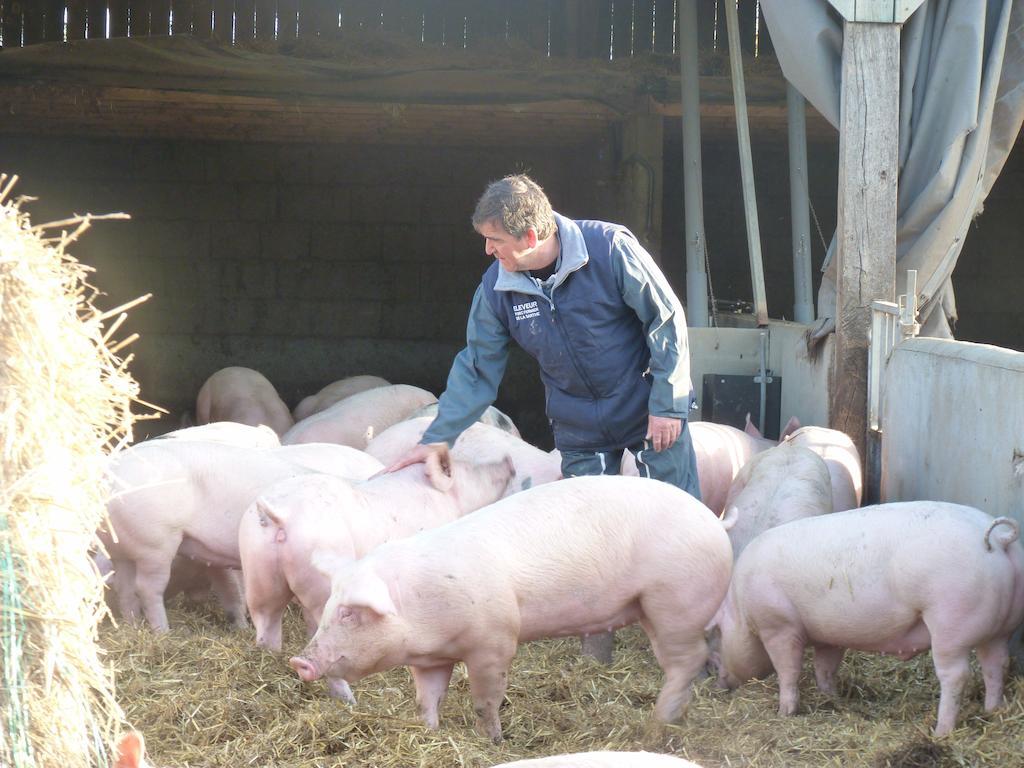 La Ferme Chauvet Bed & Breakfast Chantenay-Villedieu Exterior foto